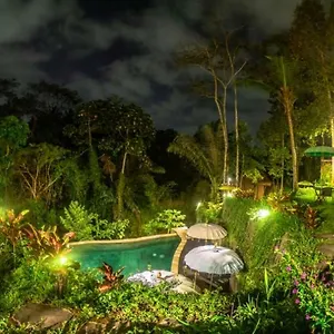 The Jungle Villa